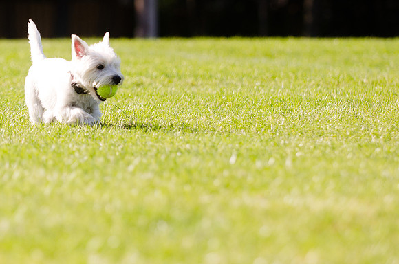2011.10.01 Penny at the Park-10