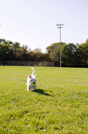 2011.10.01 Penny at the Park-3