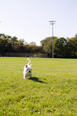 2011.10.01 Penny at the Park-3