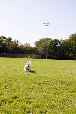2011.10.01 Penny at the Park-2
