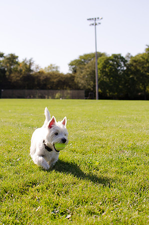 2011.10.01 Penny at the Park-4