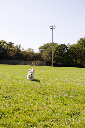 2011.10.01 Penny at the Park-2