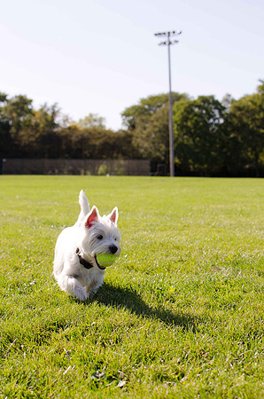 2011.10.01 Penny at the Park-4