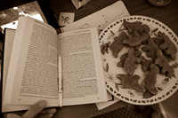 2010.01.31 Dino Nuggets-1