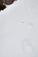 2010.01.30 Snow Day-16
