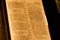 2010.02.07 Year Verse-1